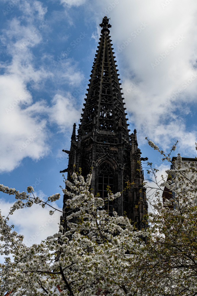 The spire of St Lambert's Church in Munster framed by blossoms