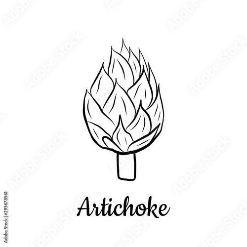 Hand drawn Arugula isolated on a white. Vegetables drawings. Vector illustration.