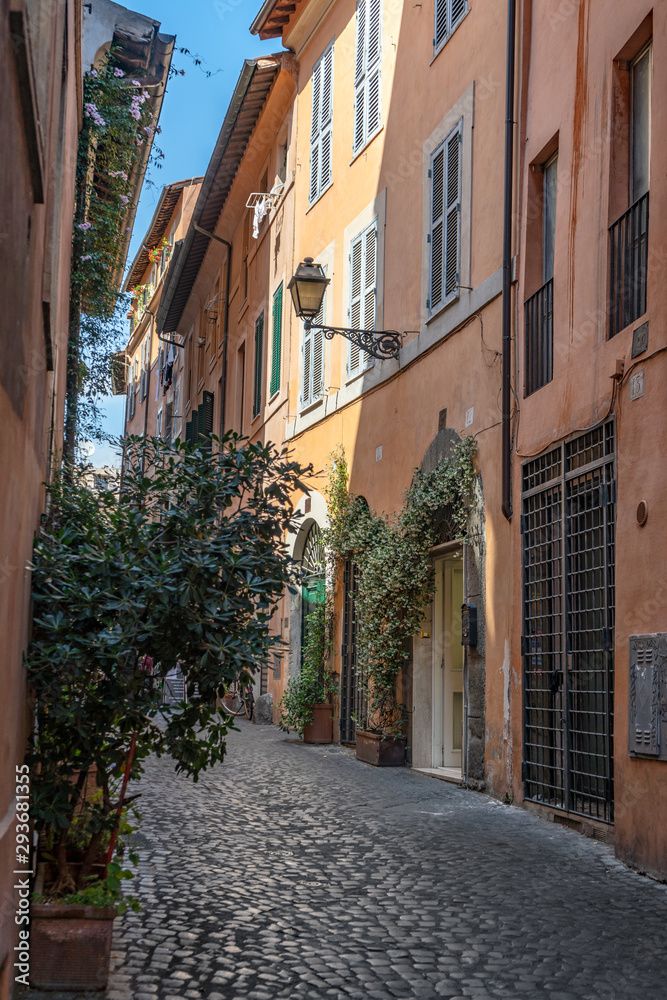 Buildings and streets of Rome
