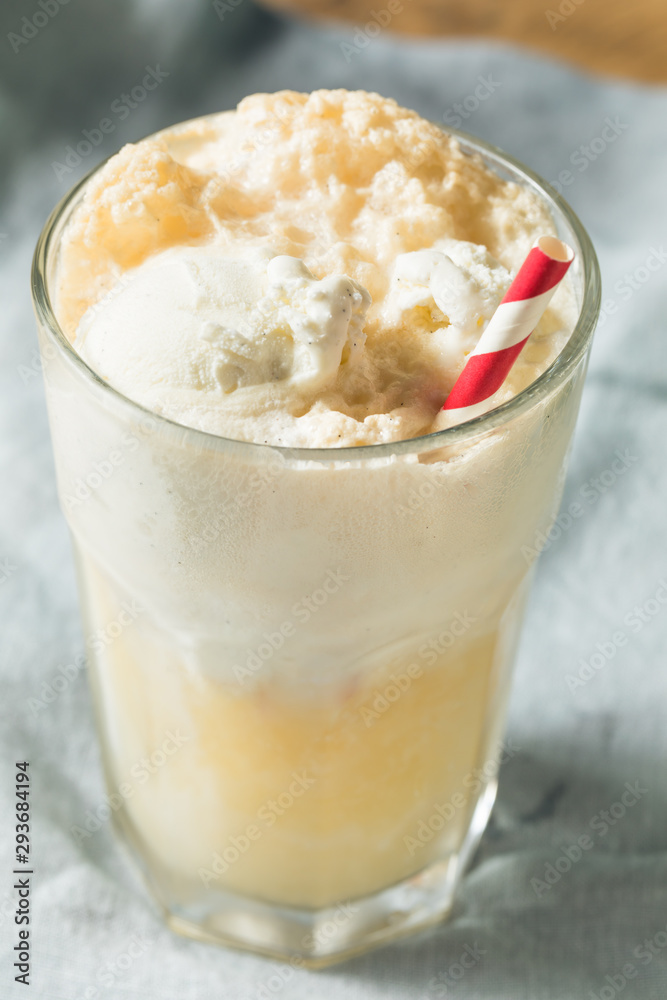 Homemade Ginger Beer Boston Cooler