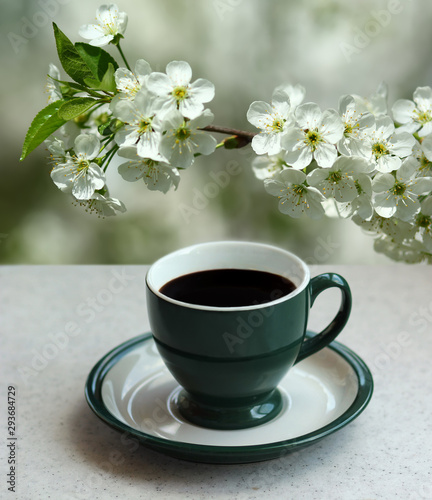 Green cup of black espresso coffee and a blooming apricot branch in the garden photo