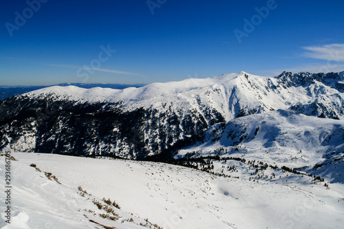 Fototapeta Naklejka Na Ścianę i Meble -  Winter panorama of Pirin Mountain, Bulgaria