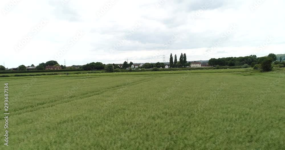 4K Drone of Green Grass Field. British Countryside Village Farm Land with blue cloud sky and tree horizon on a Summer Evening in Great Britain . 4K Drone of Green Grass Field. British Countryside Village Farm Land with blue cloud sky and tree horizon on a Summer Evening in Great Britain .