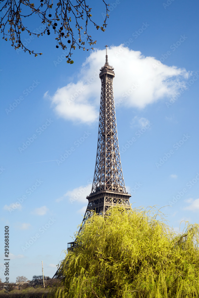 Eiffel tower in spring Paris,France