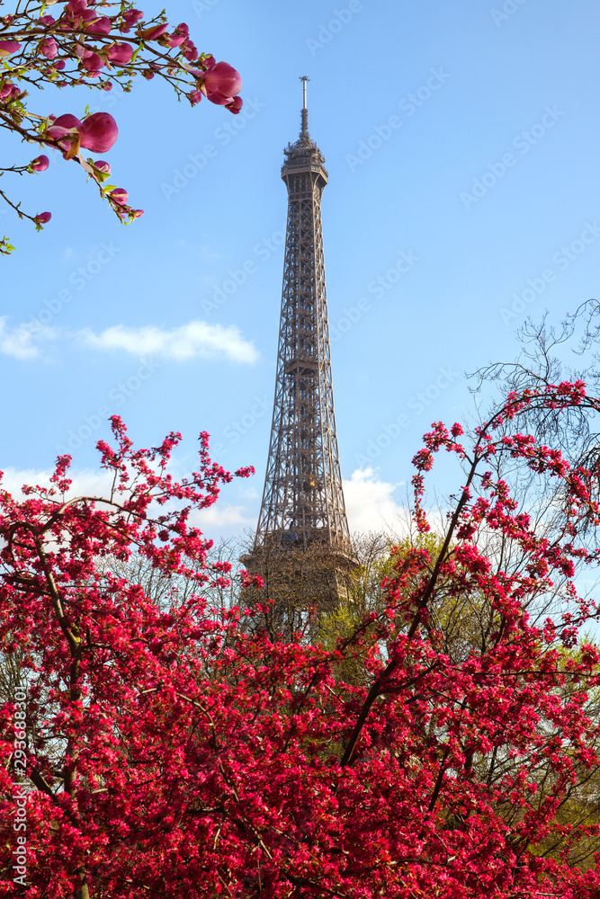 Spring in Paris. The Eiffel Tower