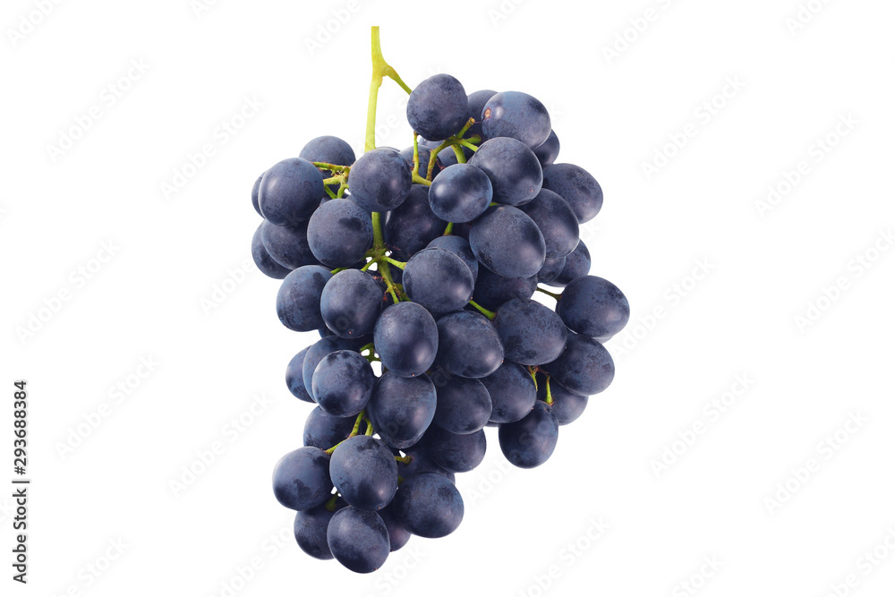 blue grape isolated on a white. Food blue grape isolated on a white. Food
