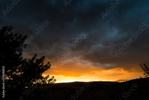 Landscape of a sunset with backlit trees that are trimmed over a beautiful cloudy sky.