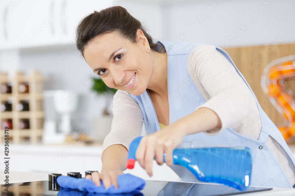 happy woman cleaning kitchen cloth and spray in kitchen happy woman cleaning kitchen cloth and spray in kitchen