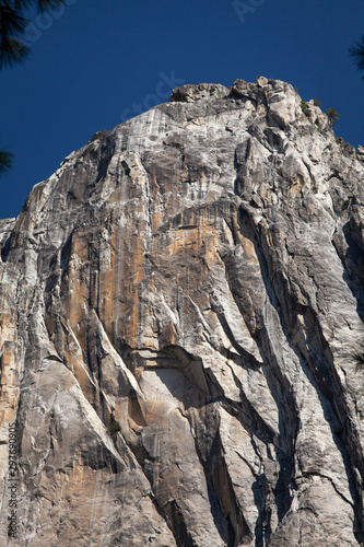 Granite formations and pine trees in Yosemite