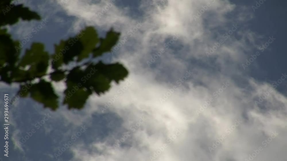 Die schnell ziehenden Wolken am Himmel wirken fast bedrohlich (verstärkt durch die unscharfen dunklen Blätter am Bildrand) Die schnell ziehenden Wolken am Himmel wirken fast bedrohlich (verstärkt durch die unscharfen dunklen Blätter am Bildrand)