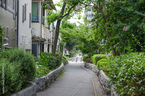 東京都高円寺の遊歩道