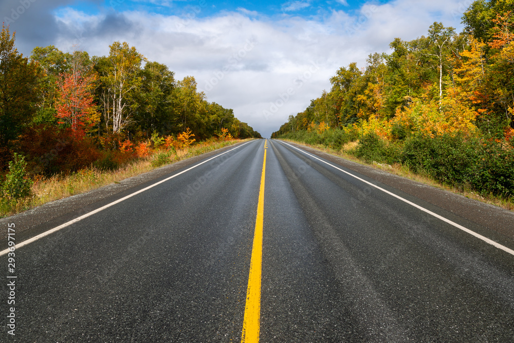 A two lane highway is divided by a single yellow line. The trees on both sides of the road are golden, yellow and orange.  The sky is blue with white clouds in the background.