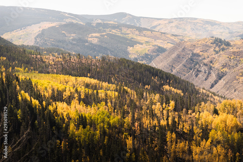 Landscape view of the mountains covered in fall foliage in Vail  Colorado. 