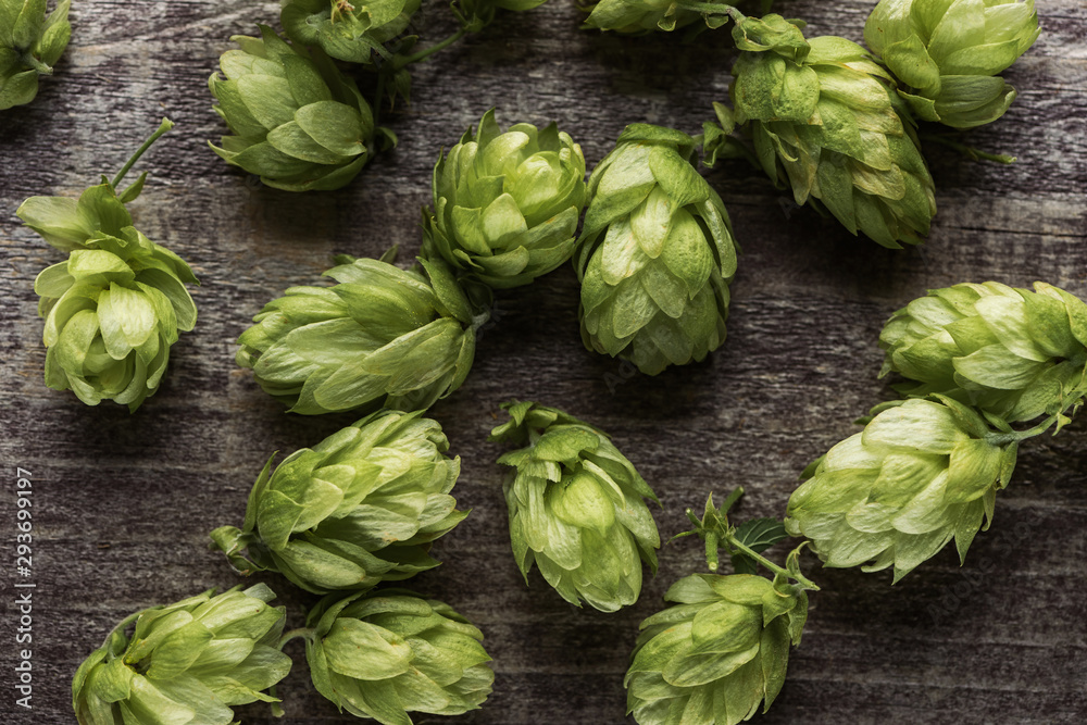 top view of fresh green hop on wooden surface top view of fresh green hop on wooden surface