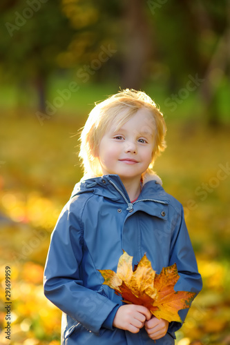 Portrait of a cute blond little boy with maple leaves in autumn park.