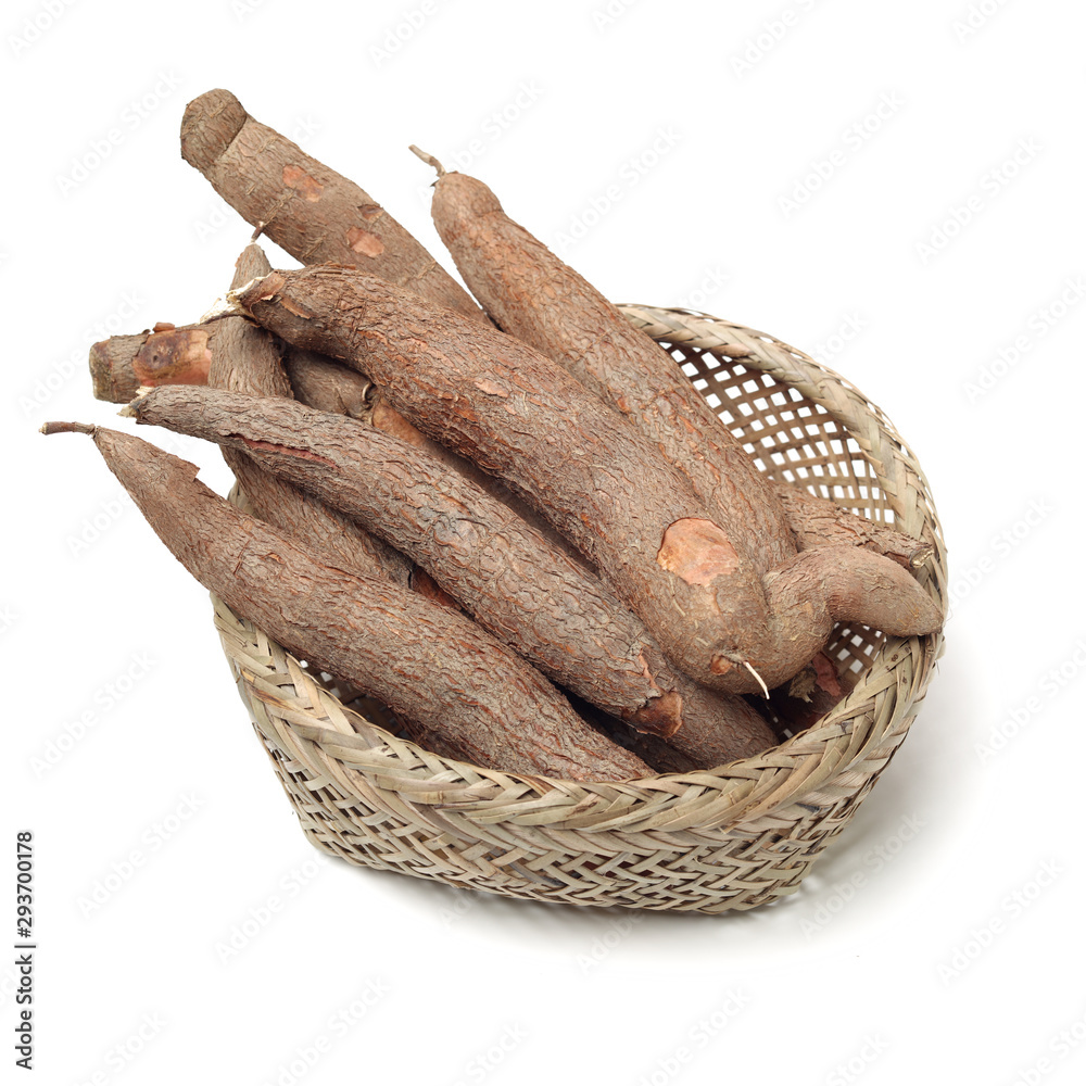 Cassava isolated on a white background Cassava isolated on a white background