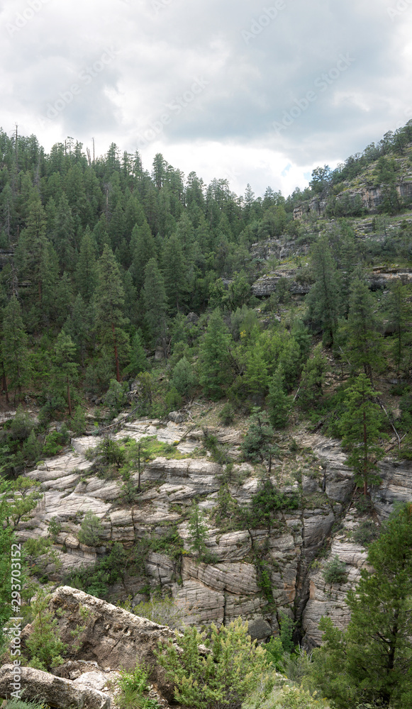 Cliff Dwellings carved in rock on Walnut Canyon stone wall, Arizona