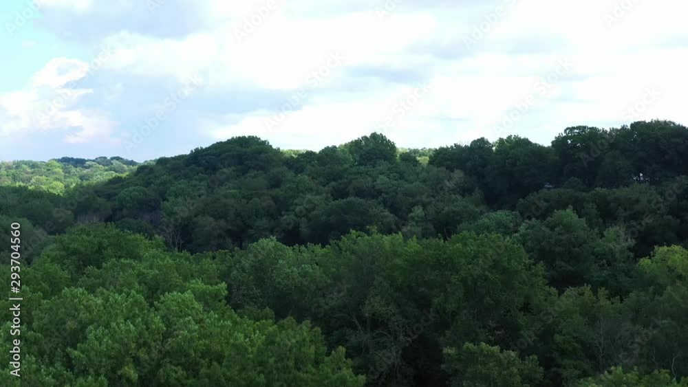 Crane shot over trees revealing vast forest Crane shot over trees revealing vast forest