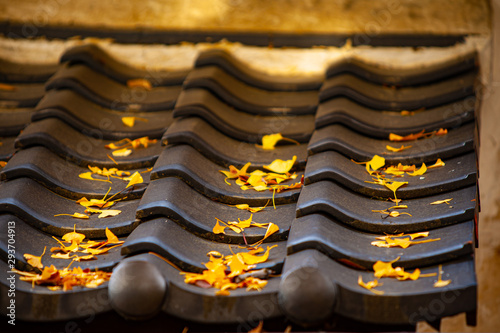 瓦屋根に落ちた紅葉した落葉樹の葉 Stock Photo Adobe Stock