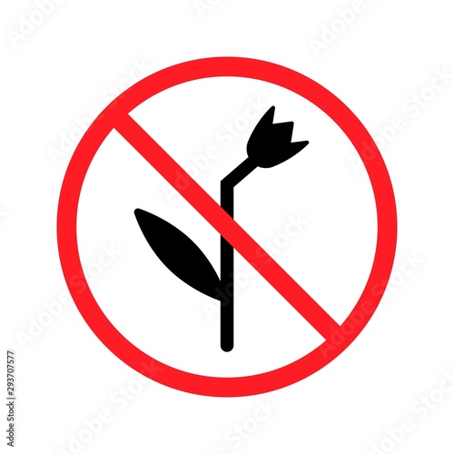 Prohibited from picking flowers, caution warn symbol for public areas to do not do that. High quality prohibition sign isolated on white.