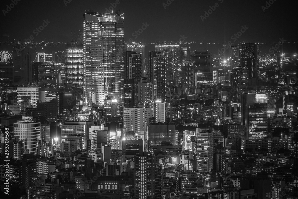 東京都庁舎の展望台から見える東京の夜景 東京都庁舎の展望台から見える東京の夜景