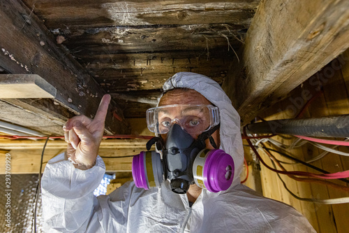 Indoor damp & air quality (IAQ) testing. An indoor home inspector points towards condemned wood inside a domestic building, white fungi are seen growing on joists and floor planks, rotting wood indoor photo