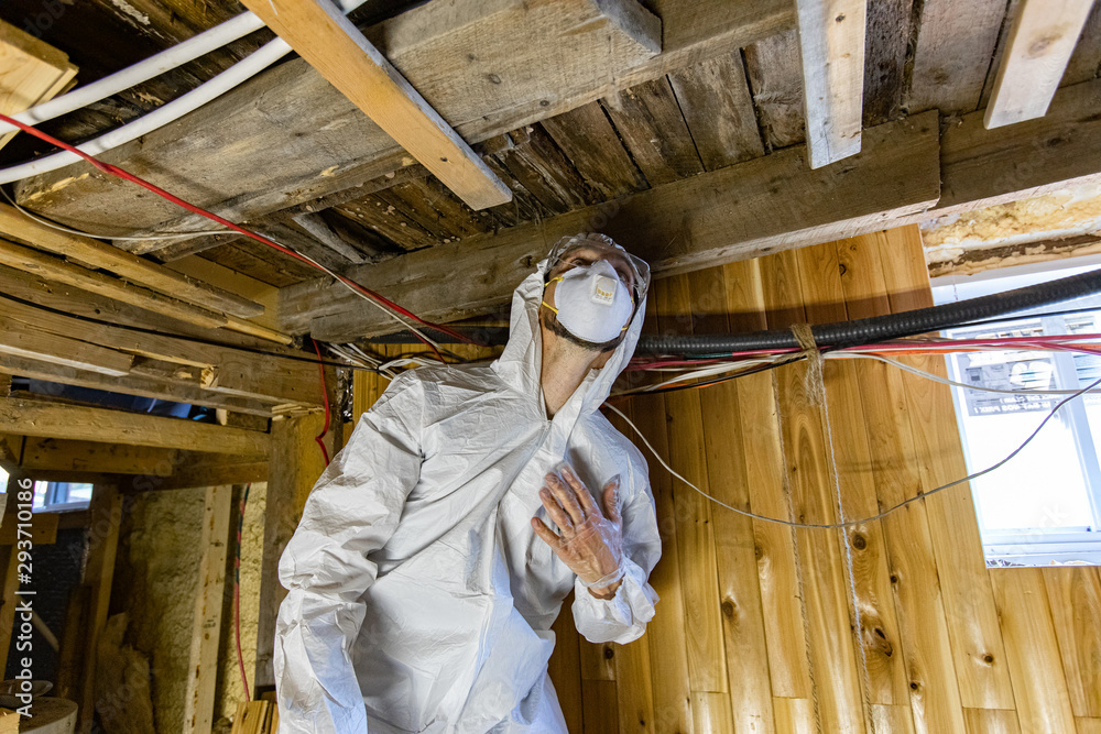 Indoor damp & air quality (IAQ) testing. A close up view of a man at