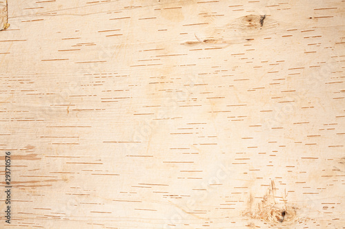 Flattened Birch bark background and natural textural elements shot from above