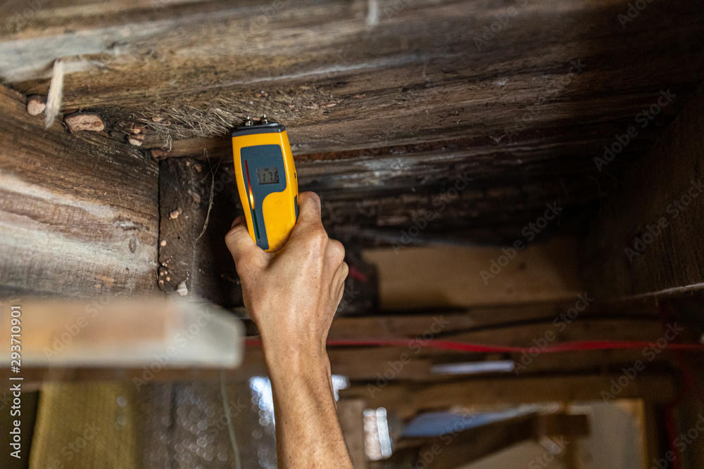 Indoor damp & air quality (IAQ) testing. An environmental home inspector is viewed close-up at work, using an electronic moisture meter to detect signs of damp and rot in wooden structural elements.