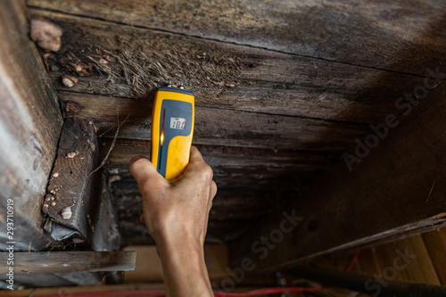 Indoor damp & air quality (IAQ) testing. A close-up view of a home inspector at work in a residential basement, assessing signs of structural defects such as wood rot and dampness, with copy space.