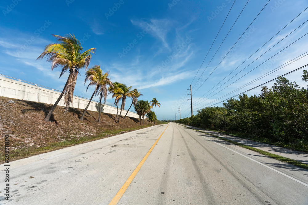 Road intersection with palms in South Florida