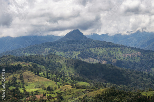 High Yariguies Mountain © Diego