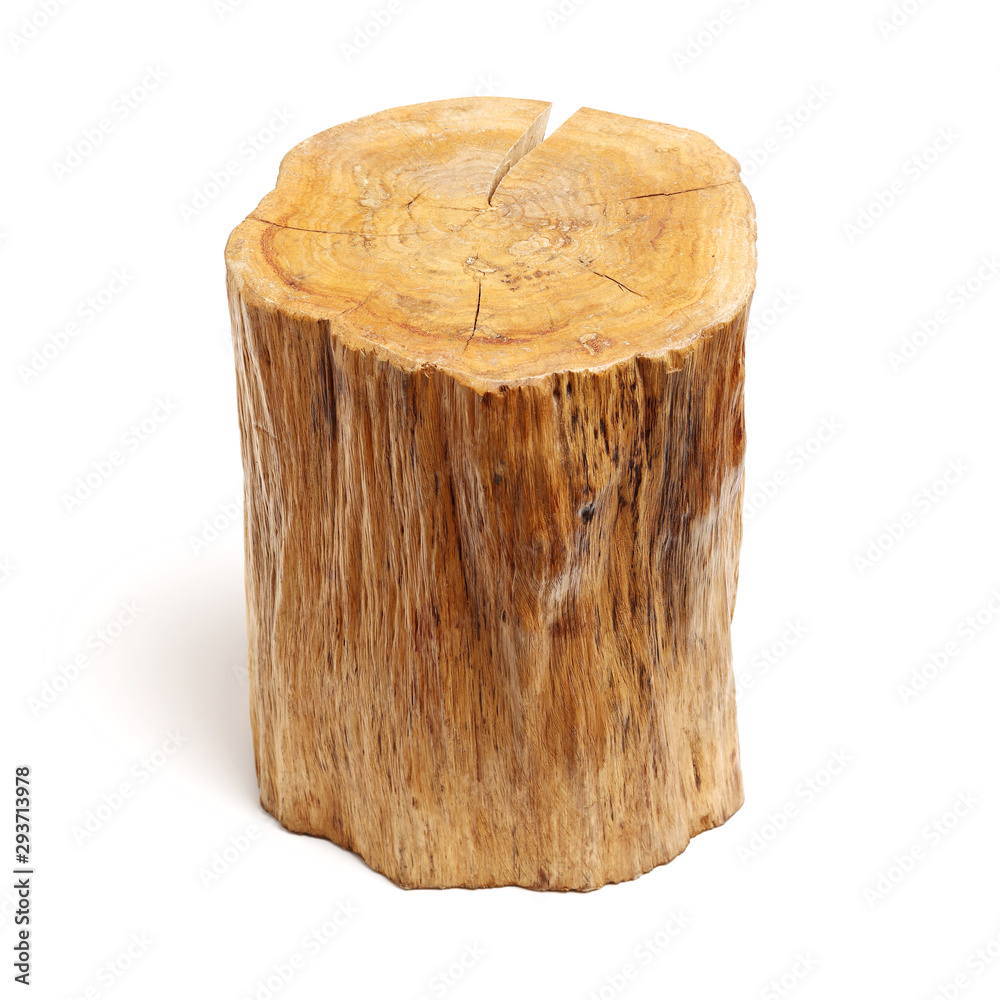 Naklejka premium log isolated on a white background