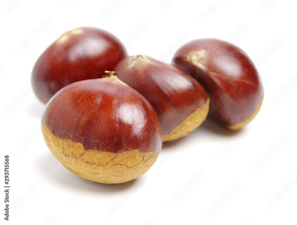 Sweet chestnut on white background Sweet chestnut on white background