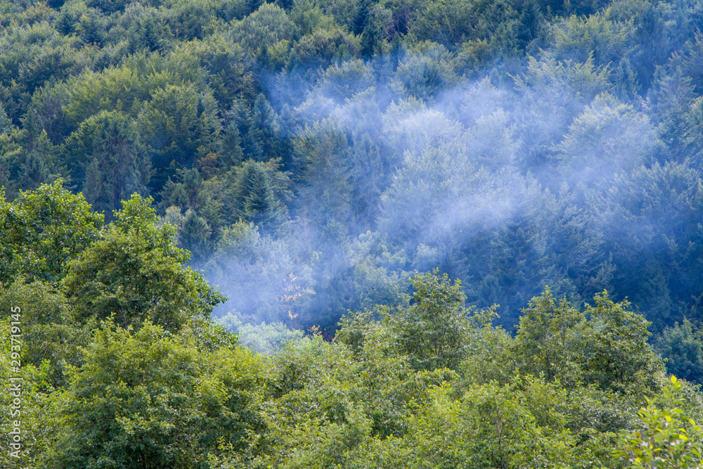 Smoke rises above the trees in the mountains, the danger of fire in the forest.