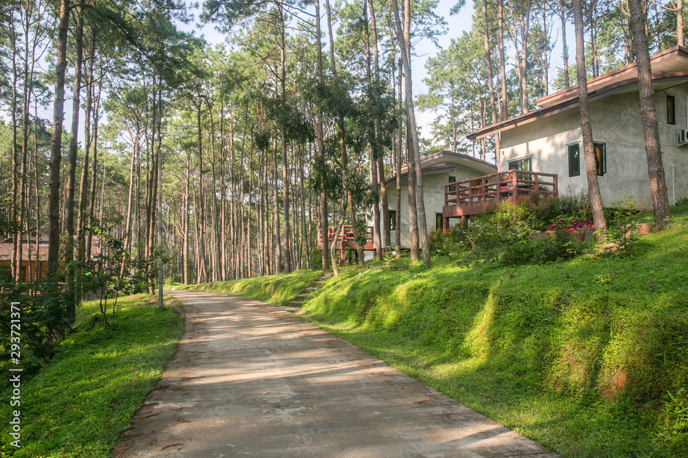 house in the park