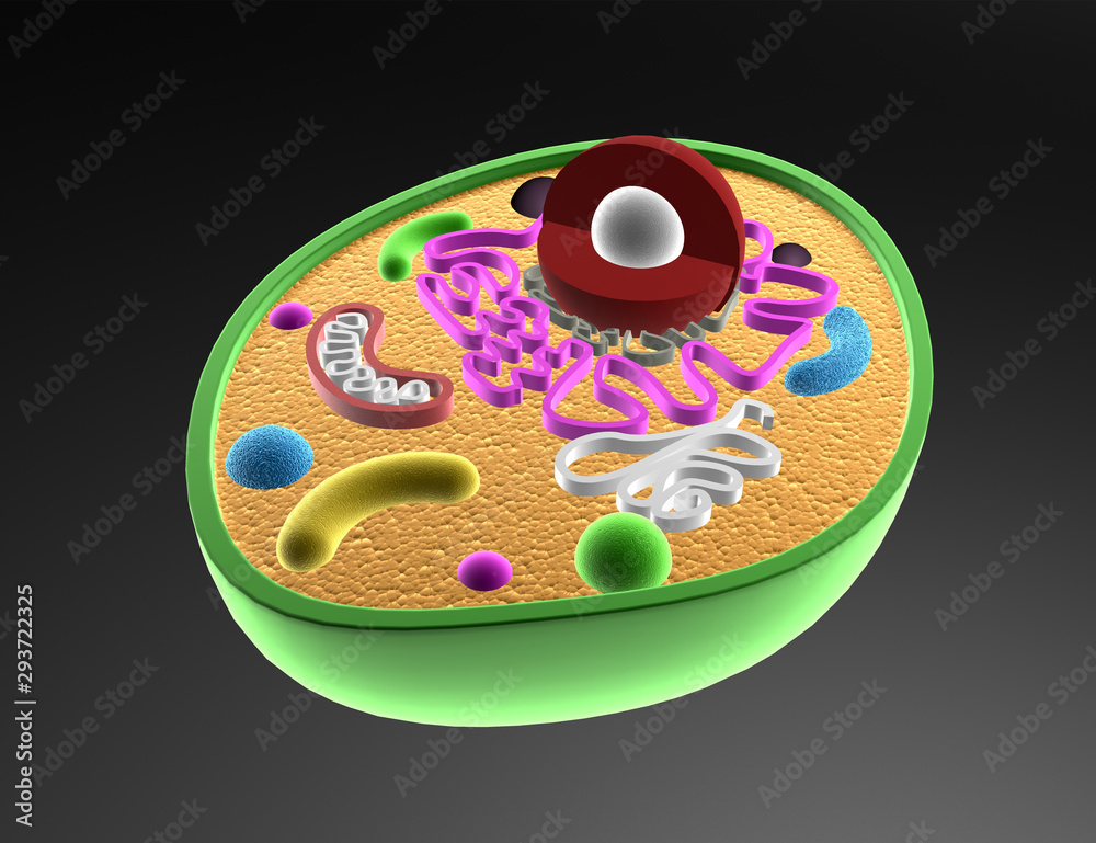 Cell Structure. 3d render . Cell Structure. 3d render .
