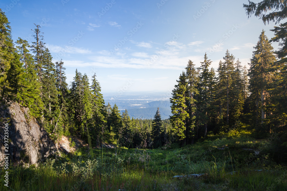 A view of the Fraser Valley as seen from the hiking trails of Mount Seymour.