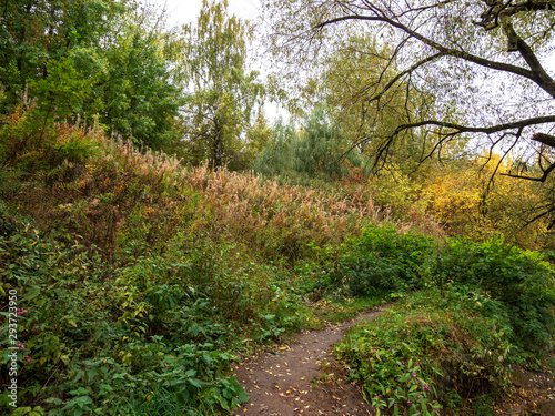 Autumn, Park, path, trees.