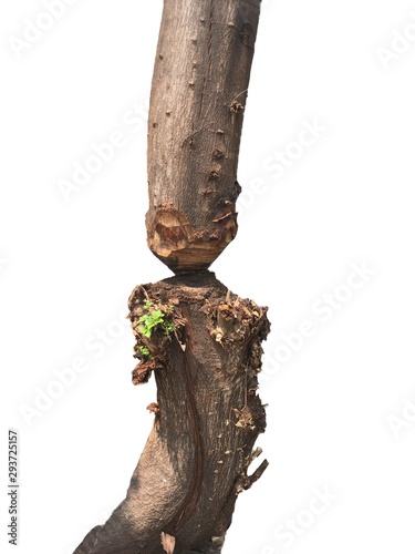 Everything must try to Living