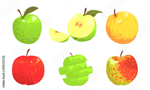 Collection of Colorful Apples, Red, Green, Yellow Whole and Sliced Apples Vector Illustration
