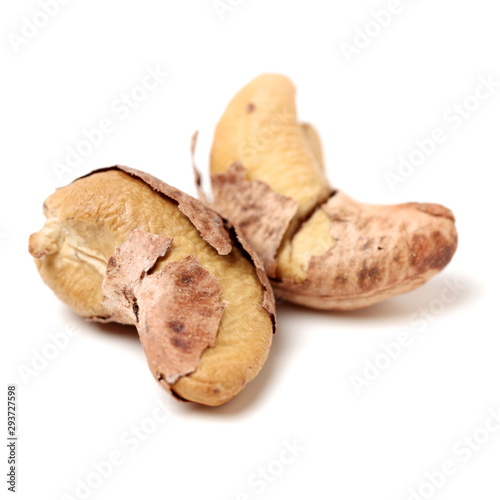 cashew nuts on white background 