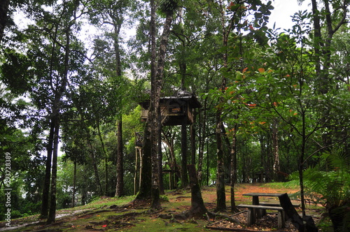 tree house in thailand