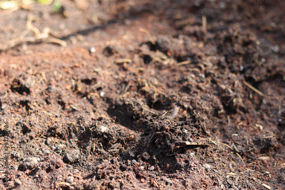 Close up fertile soil for texture background. Gardening or planting concept. Close up fertile soil for texture background. Gardening or planting concept.