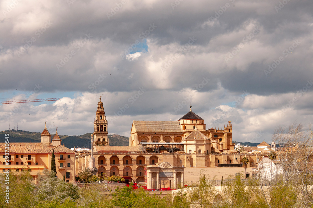 Fototapeta premium Cathedral of Cordoba in Spain