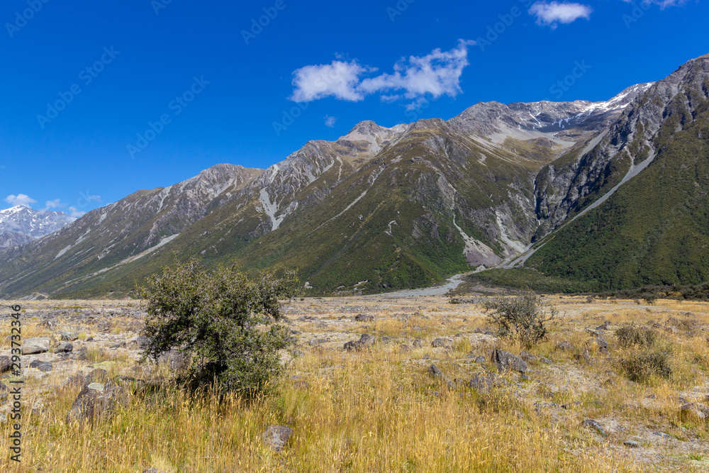 view of the valley at Mount Cook national park