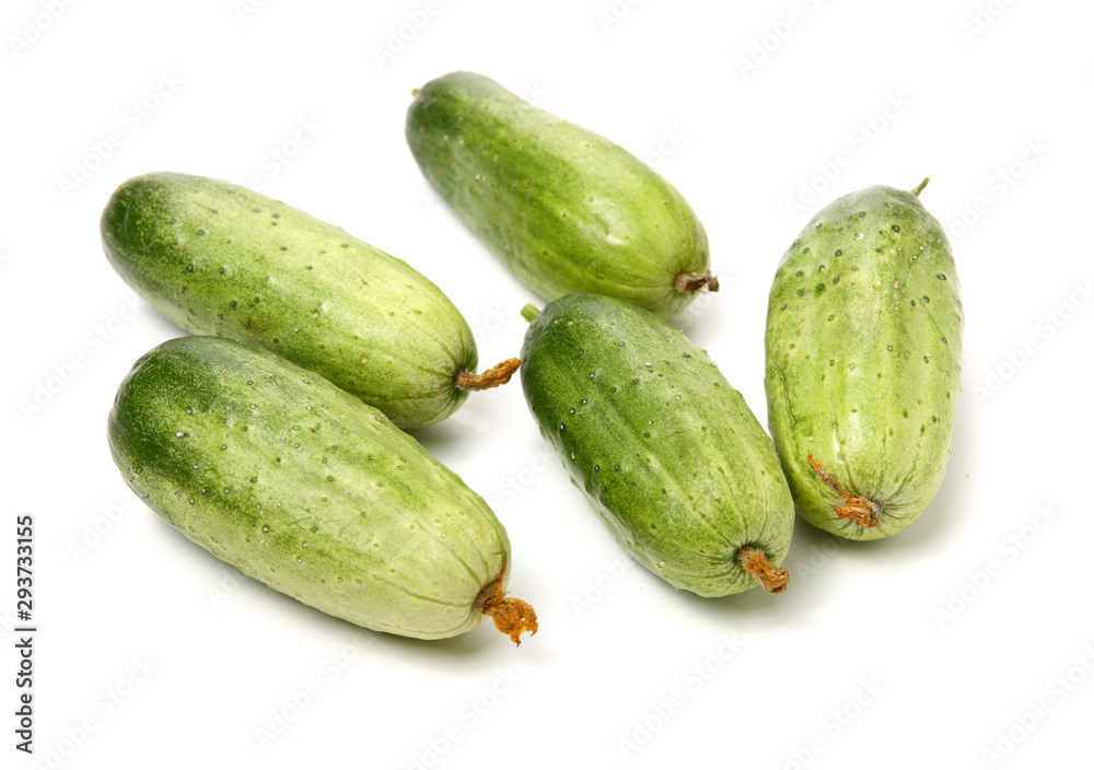 Green cucumber on the white background Green cucumber on the white background