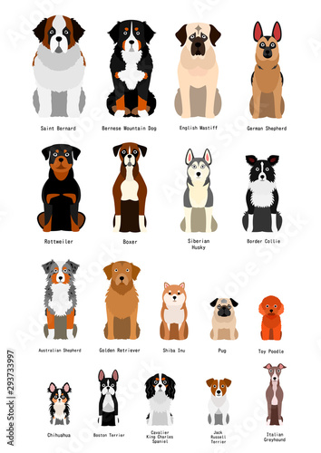 collection of  various breed dog