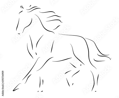 Black line horse