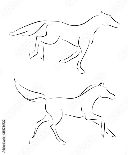 Black line horses